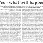 20160703 Financial Express BREXIT YES what next